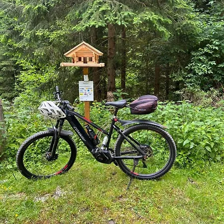 Haus Laubreuter דירה