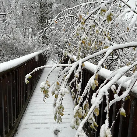 Haus Laubreuter דירה קפרון