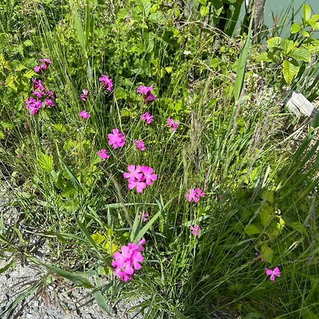 דירה Haus Laubreuter קפרון