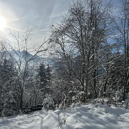 דירה Haus Laubreuter *