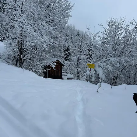 דירה Haus Laubreuter קפרון