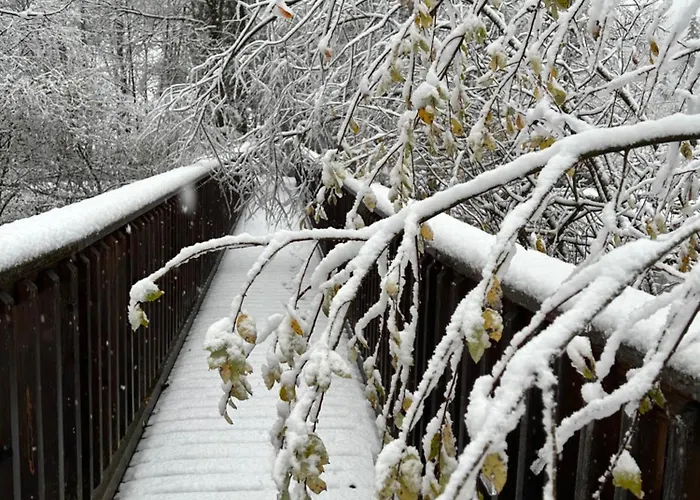 Haus Laubreuter דירה קפרון