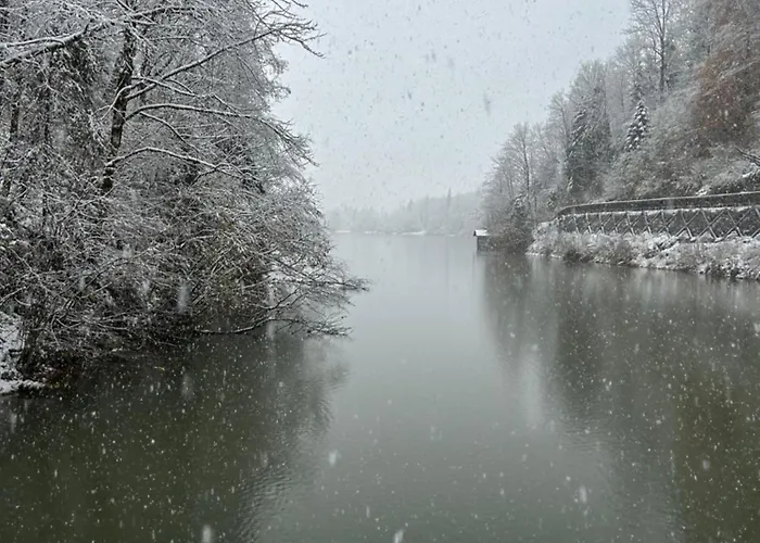 Διαμέρισμα Haus Laubreuter