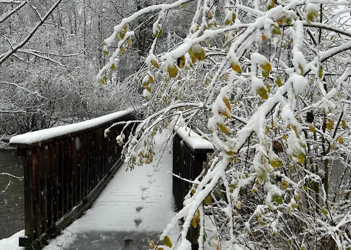 Διαμέρισμα Haus Laubreuter *