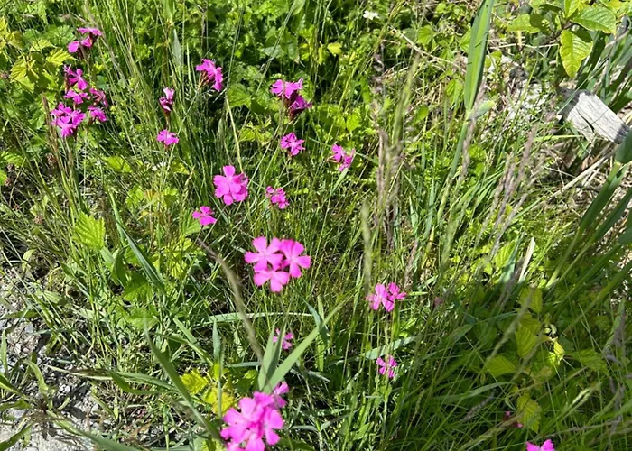 דירה Haus Laubreuter קפרון