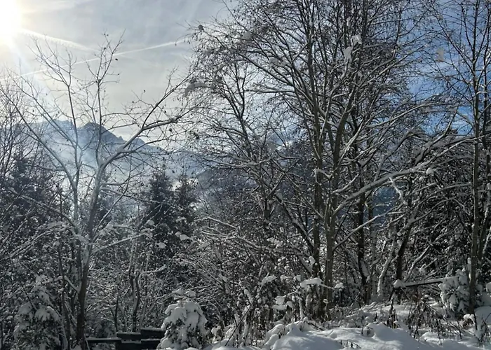 Διαμέρισμα Haus Laubreuter *