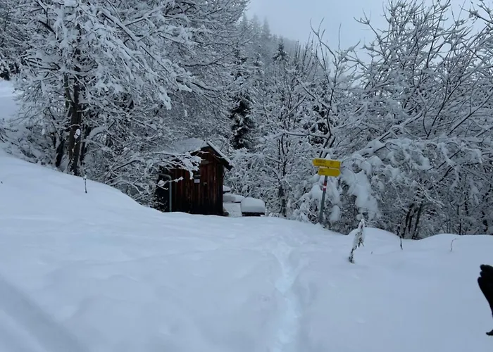 Lägenhet Haus Laubreuter Kaprun