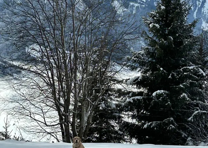 Haus Laubreuter * Kaprun